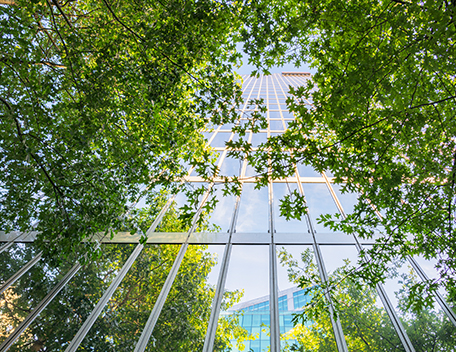 Sustainable Office building